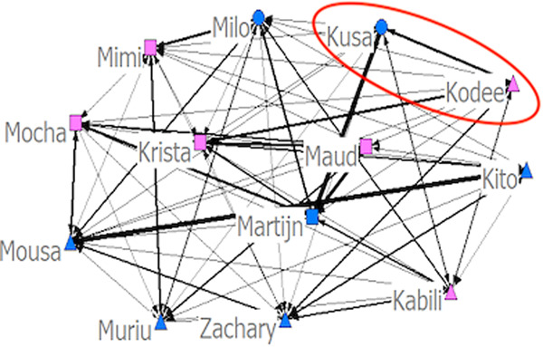 Baboon social network with affiliative relationship between Kusa and Kodee highlighted